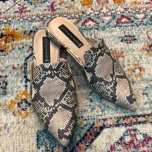 Steve Madden Mules